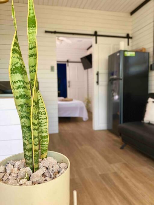 Hojancha Hoja Azul Loft Guanacaste 아파트 외부 사진